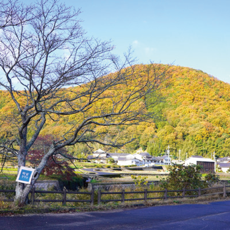 t03-みち歩き 矢掛〜美星〜備中とと道:プチウォーク(矢掛〜美星)